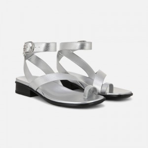 Sandalias Planas Naturalizer Para Mujer Birch Sandal Plateadas AV18-4218K9