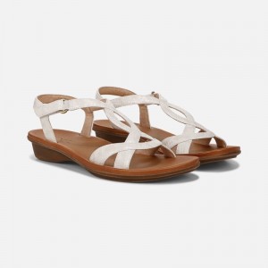 Sandalias Planas Naturalizer Para Mujer SOUL Solo Sandal Beige Serpent AG02-4002B4